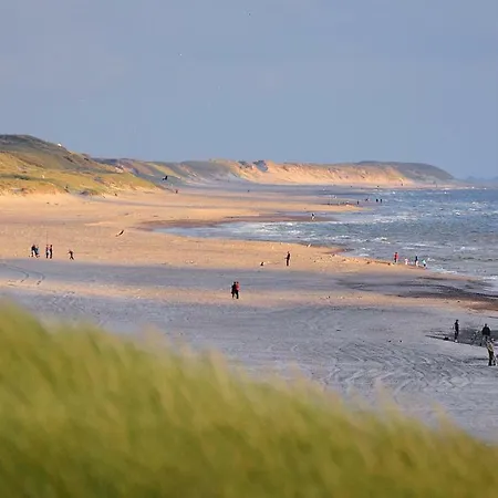 Dancamps Holmsland Campsite *