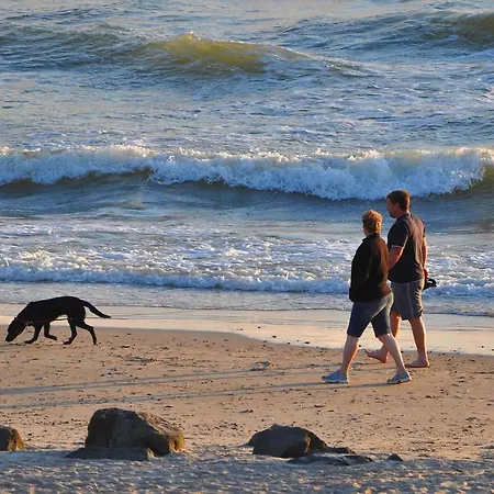 Dancamps Holmsland Campsite